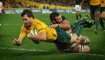Wallabies bounce back with a strong performance against South Africa