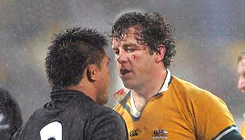 That Brendan Cannon punch on Kevin Mealamu