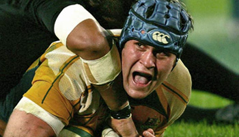 Wallabies sink All Blacks 34-19 in Sydney