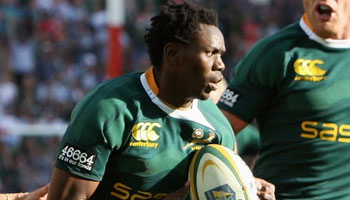 South Africa restore pride against the woeful Wallabies