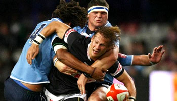 Sharks sink their teeth into the Blue Bulls in the Currie Cup