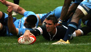 Natal Sharks win the Currie Cup 2008
