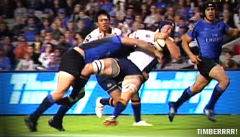 Cameron Shepherd knocks down big Mark Chisholm